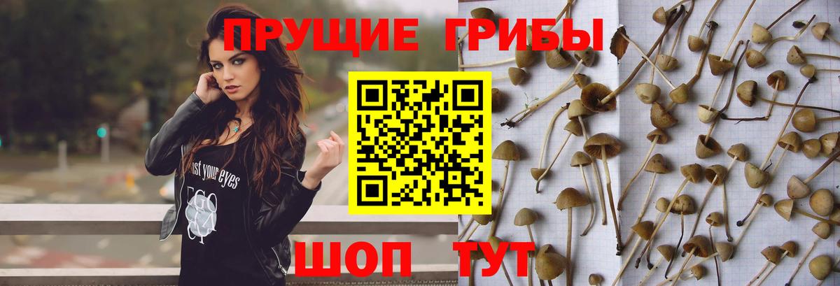 Псилоцибиновые грибы MAGIC MUSHROOMS  Вход с VPN  Галлюциногенные грибы MAGIC MUSHROOMS  Сосновый Бор 